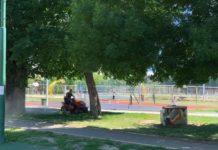 Ustanove za sport Novi Pazar: Intenzivno se radi na košenju, ozelenjavanju i oplemenjivanju zelenih površina ustanove-za-sport-novi-pazar:-intenzivno-se-radi-na-kosenju,-ozelenjavanju-i-oplemenjivanju-zelenih-povrsina