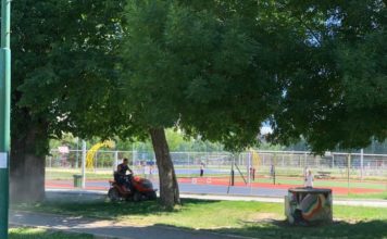 Ustanove za sport Novi Pazar: Intenzivno se radi na košenju, ozelenjavanju i oplemenjivanju zelenih površina ustanove-za-sport-novi-pazar:-intenzivno-se-radi-na-kosenju,-ozelenjavanju-i-oplemenjivanju-zelenih-povrsina