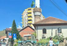 Posečene lipe iz harema Melajske džamije posecene-lipe-iz-harema-melajske-dzamije