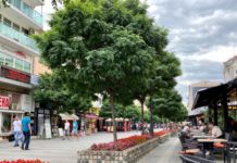 Novi Pazar: Više kontrolisanih, manje kažnjenih zbog fiskalnog računa novi-pazar:-vise-kontrolisanih,-manje-kaznjenih-zbog-fiskalnog-racuna