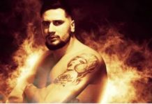 Hasanović nišani Šoura hasanovic-nisani-soura