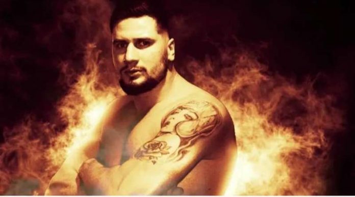 hasanovic-nisani-soura