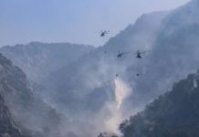 Turska: U akcijama gašenja požara u Mugli podrška i iz zraka turska:-u-akcijama-gasenja-pozara-u-mugli-podrska-i-iz-zraka