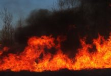 Šumski požari u Grčkoj, Velikoj Britaniji i Italiji sumski-pozari-u-grckoj,-velikoj-britaniji-i-italiji