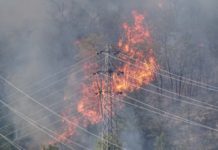 POŽAR U NOVOM PAZARU! Gori Paričko brdo, vatra se širi (FOTO) pozar-u-novom-pazaru!-gori-paricko-brdo,-vatra-se-siri-(foto)