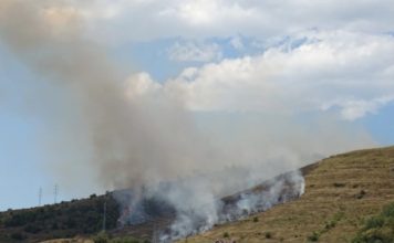 Požar na Paričkom brdu pod kontrolom! Apel građanima da ne pale vatru na otvorenom pozar-na-parickom-brdu-pod-kontrolom!-apel-gradjanima-da-ne-pale-vatru-na-otvorenom