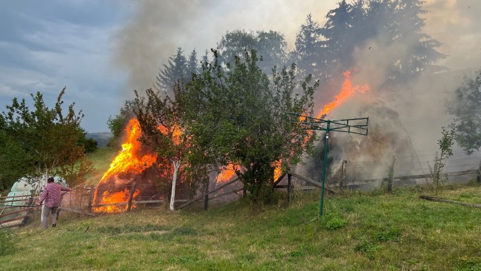 pozar-na-pesteru!-vatrogasci-sprecili-vecu-katastrofu-(foto+video)