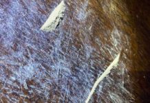 EKSKLUZIVNE FOTOGRAFIJE! Uhapšen diler heroina u Novom Pazaru ekskluzivne-fotografije!-uhapsen-diler-heroina-u-novom-pazaru