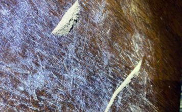 EKSKLUZIVNE FOTOGRAFIJE! Uhapšen diler heroina u Novom Pazaru ekskluzivne-fotografije!-uhapsen-diler-heroina-u-novom-pazaru