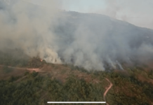 POŽAR U SELU KOD NOVOG PAZARA! Vatrogasci na terenu pozar-u-selu-kod-novog-pazara!-vatrogasci-na-terenu