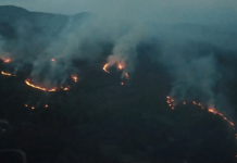Požar kod Novog Pazara se širi, gore šume u pravcu Suve ćuprije pozar-kod-novog-pazara-se-siri,-gore-sume-u-pravcu-suve-cuprije