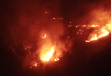 Šume kod Novog Pazara i dalje u plamenu! Lavovska borba vatrogasne jedinice sume-kod-novog-pazara-i-dalje-u-plamenu!-lavovska-borba-vatrogasne-jedinice