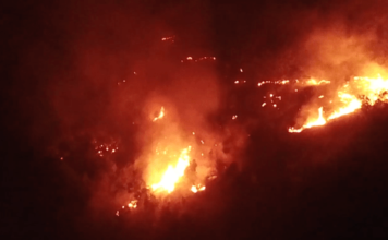 Šume kod Novog Pazara i dalje u plamenu! Lavovska borba vatrogasne jedinice sume-kod-novog-pazara-i-dalje-u-plamenu!-lavovska-borba-vatrogasne-jedinice