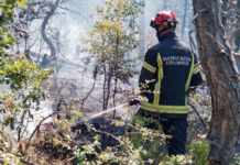 MUP: Požarom kod Novog Pazara zahvaćeno 40 hektara trave i niskog rastinja, na terenu 30 vatrogasaca mup:-pozarom-kod-novog-pazara-zahvaceno-40-hektara-trave-i-niskog-rastinja,-na-terenu-30-vatrogasaca