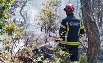 MUP: Požarom kod Novog Pazara zahvaćeno 40 hektara trave i niskog rastinja, na terenu 30 vatrogasaca mup:-pozarom-kod-novog-pazara-zahvaceno-40-hektara-trave-i-niskog-rastinja,-na-terenu-30-vatrogasaca
