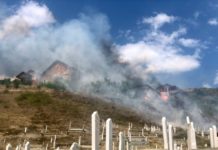 Gorelo nisko rastinje kod Velikog groblja u Novom Pazaru gorelo-nisko-rastinje-kod-velikog-groblja-u-novom-pazaru