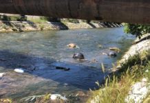 HO “Sevap” novčano nagrađuje građane koji fotografišu ili snime zagađivače ho-“sevap”-novcano-nagradjuje-gradjane-koji-fotografisu-ili-snime-zagadjivace