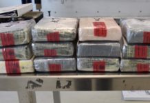 Bugarska zaplenila 106 kilograma heroina u vrednosti od 4,8 miliona evra bugarska-zaplenila-106-kilograma-heroina-u-vrednosti-od-4,8-miliona-evra