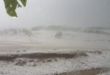 NEZAPAMĆENO NEVREME POGODILO PEŠTER! Obelelo kao u decembru nezapamceno-nevreme-pogodilo-pester!-obelelo-kao-u-decembru