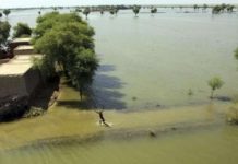 Pakistan: U poplavama poginulo 1.265 ljudi, poplavljeno skoro 45 posto obradive zemlje pakistan:-u-poplavama-poginulo-1.265-ljudi,-poplavljeno-skoro-45-posto-obradive-zemlje