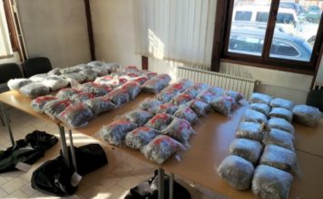 POGLEDAJTE FOTOGRAFIJE ZAPLENJENE DROGE U NOVOM PAZARU! U četiri torbe spakovano 65 paketa marihuane pogledajte-fotografije-zaplenjene-droge-u-novom-pazaru!-u-cetiri-torbe-spakovano-65-paketa-marihuane