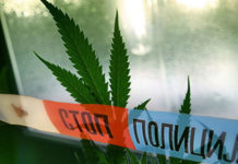 Dovezli 50 kilograma droge sa Kosova u vozilu sa oznakama OSCE dovezli-50-kilograma-droge-sa-kosova-u-vozilu-sa-oznakama-osce