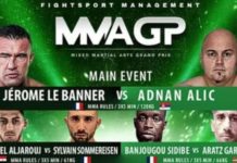 Vikend u Parizu: Alić protiv Le Banera vikend-u-parizu:-alic-protiv-le-banera