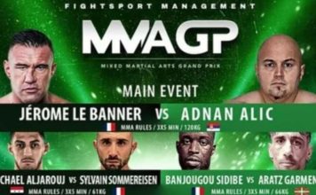 Vikend u Parizu: Alić protiv Le Banera vikend-u-parizu:-alic-protiv-le-banera