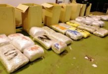 Policija na Gradini zaplenila više od 280 kilograma marihuane (FOTO) policija-na-gradini-zaplenila-vise-od-280-kilograma-marihuane-(foto)