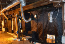 AKCIJA MUPA I POLICIJE ŠPANIJE! Uhapšena krimi grupa zbog proizvodnje i prometa marihuane akcija-mupa-i-policije-spanije!-uhapsena-krimi-grupa-zbog-proizvodnje-i-prometa-marihuane