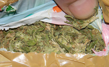 Španija: Policija zaplenila rekordne 32 tone marihuane spanija:-policija-zaplenila-rekordne-32-tone-marihuane