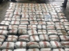 rekordna-zaplena-droge!-novopazarska-policija-zaplenila-oko-100-kilograma-narkotika