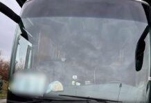 Carinici zaplenili preko pola tone sudžuka (FOTO) carinici-zaplenili-preko-pola-tone-sudzuka-(foto)