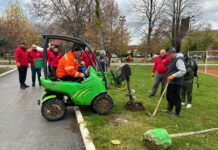 Novih 165 sadnica na Rekreacionom centru u Novom Pazaru novih-165-sadnica-na-rekreacionom-centru-u-novom-pazaru