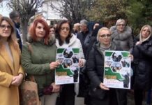 Prosvetari iz Novog Pazara protestvovali u znak solidarnosti sa kolegama širom Srbije prosvetari-iz-novog-pazara-protestvovali-u-znak-solidarnosti-sa-kolegama-sirom-srbije