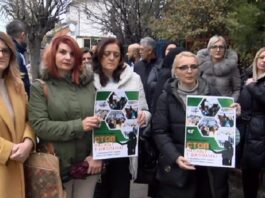 prosvetari-iz-novog-pazara-protestvovali-u-znak-solidarnosti-sa-kolegama-sirom-srbije