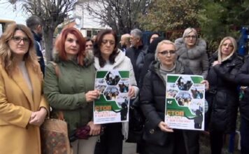 Prosvetari iz Novog Pazara protestvovali u znak solidarnosti sa kolegama širom Srbije prosvetari-iz-novog-pazara-protestvovali-u-znak-solidarnosti-sa-kolegama-sirom-srbije