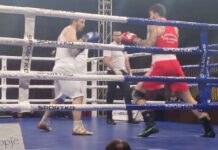 65. Zlatna rukavica: Toskić bez finala 65.-zlatna-rukavica:-toskic-bez-finala