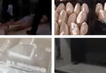 U međunarodnoj akciji uhapšeno više osoba zbog tone marihuane u-medjunarodnoj-akciji-uhapseno-vise-osoba-zbog-tone-marihuane