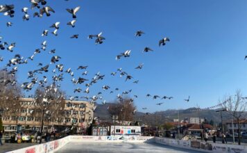 Sezona klizanja u Novom Pazaru može da počne sezona-klizanja-u-novom-pazaru-moze-da-pocne