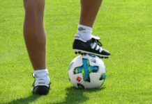 Novi Pazar bira najbolje u sportskoj 2022. godini (četvrtak, 19.00) novi-pazar-bira-najbolje-u-sportskoj-2022-godini-(cetvrtak,-19.00)