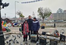 Gradonačelnik Biševac: Umesto petarde, nahrani golubove gradonacelnik-bisevac:-umesto-petarde,-nahrani-golubove