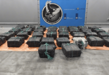 Holandija: Zaplenjeno 4,7 tona kokaina vrednog 354 miliona evra holandija:-zaplenjeno-4,7-tona-kokaina-vrednog-354-miliona-evra