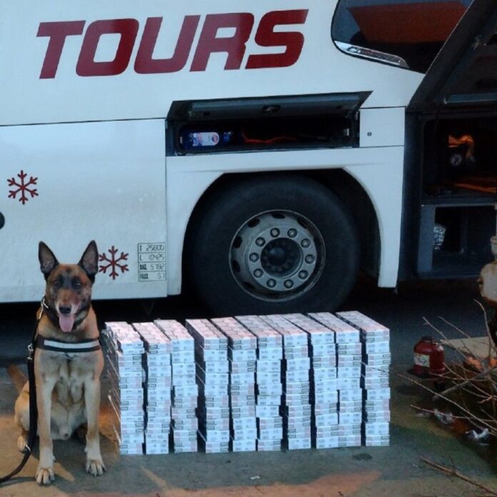 carinski-pas-nanjusio-tovar-krijumcarenih-cigareta