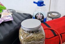 Velika tegla puna marihuane među hranom velika-tegla-puna-marihuane-medju-hranom