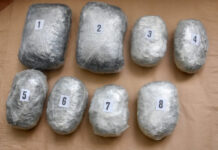 Zaplenjeno pet kilograma marihuane zaplenjeno-pet-kilograma-marihuane