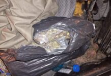 MUP: Muškarac iz Raške “ladom” prevozio veću količinu narkotika! Uhapšen u Novom Pazaru (FOTO) mup:-muskarac-iz-raske-“ladom”-prevozio-vecu-kolicinu-narkotika!-uhapsen-u-novom-pazaru-(foto)