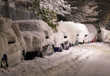 Put Kopaonik – Brus i dalje neprohodan, u Srbiji bez struje 25.000 korisnika put-kopaonik-–-brus-i-dalje-neprohodan,-u-srbiji-bez-struje-25.000-korisnika