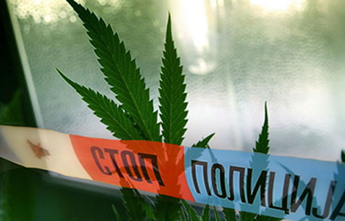 bg:-zaplenjeno-30-kg-marihuane,-uhapsene-dve-drzavljanke-slovenije