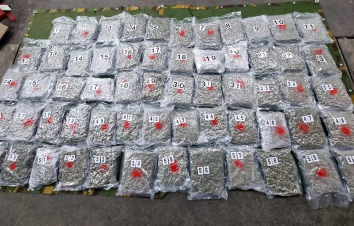 pu-kraljevo:-zaplenjeno-oko-33-kilograma-kanabisa pu-kraljevo:-zaplenjeno-oko-33-kilograma-kanabisa